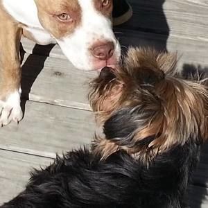 Meet your Posher, Linda